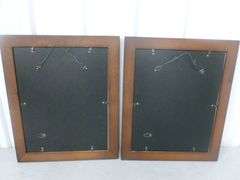 (2) Grand Canyon National Park Framed & Matted Pictures