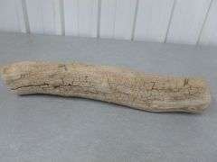 Large Piece Of Lake Weathered Wood For Decor - 18" L