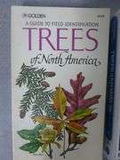 Group Of (3) Tree / Shrub / National Audubon Guide Books