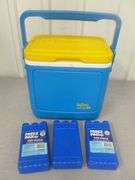 Igloo Tag-Along 10 Lunch Cooler With Ice Packs