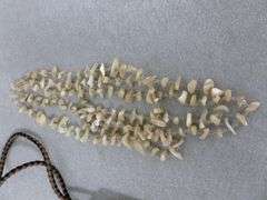 Group Of Nice Looking Jewelry Items