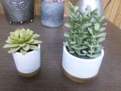 Group Of (5) Artificial Plant Decorations
