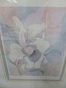 Large Floral Themed Signed Framed & Matted Print