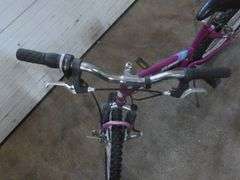 Roadmaster Mt. Sport 6 Speed Bike - 20" Tires