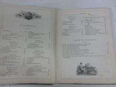 Antique Houston's Physical Geography Book - 1884
