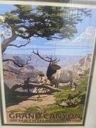 (2) Grand Canyon National Park Framed & Matted Pictures