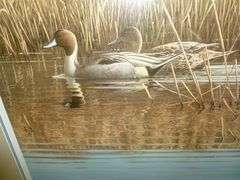 Beautiful Large Gary Wonose " Reflections Pintails " Signed & Numbered Framed and Matted Print