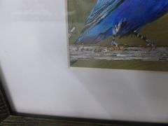 Steven " Birds " Framed & Matted Print 13" x 13"