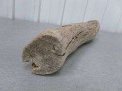 Large Piece Of Lake Weathered Wood For Decor - 18" L