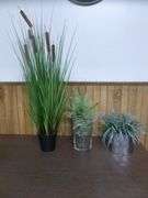 Group Of (3) Artificial Plant Decorations