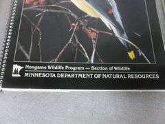 (3) Wildflower / Wildlife Themed Picture Books