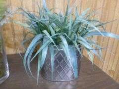 Group Of (3) Artificial Plant Decorations