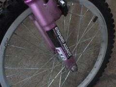 Roadmaster Mt. Sport 6 Speed Bike - 20" Tires