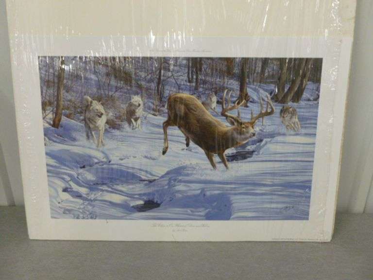 Beautiful Scot Storm " The Chase Is On " Signed & Numbered Print