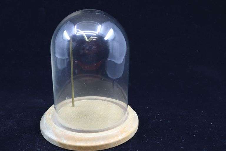 5" GLASS DOME WATCH CASE WITH WOODEN BASE