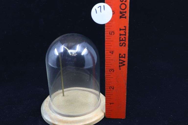 5" GLASS DOME WATCH CASE WITH WOODEN BASE