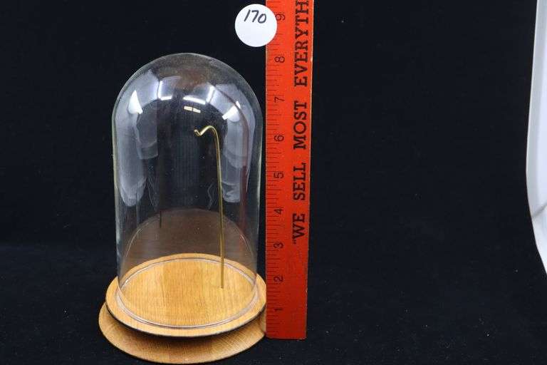 8" GLASS DOME WATCH CASE WITH WOODEN BASE
