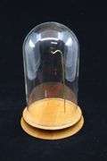 8" GLASS DOME WATCH CASE WITH WOODEN BASE