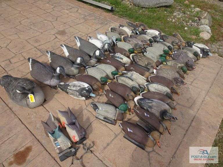 Misc. Decoys 3 Dozen Mall