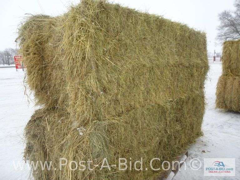 2-Large Mixed Grass Square Bal