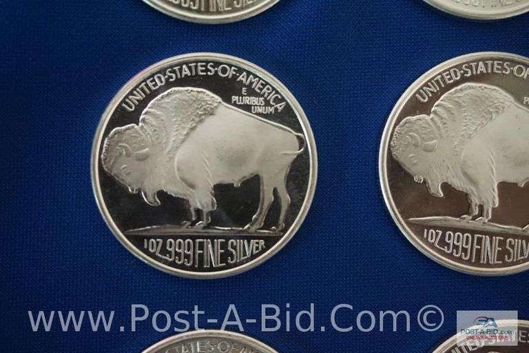 20- 1 Oz .999 Silver Rounds.