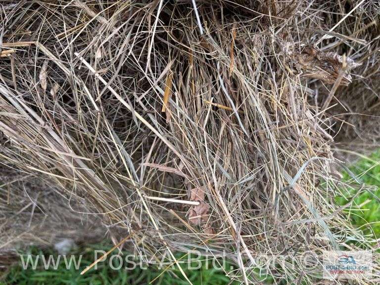 5-Grass Hay Round Bales, Twine Tie, 2024 Hay Season.