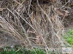 5-Grass Hay Round Bales, Twine Tie, 2024 Hay Season.