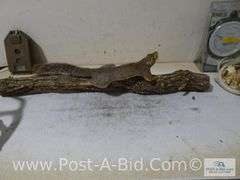 Squirrel Mount, Deer Antlers, 550lb Big Game Scale, Cudde Back Di