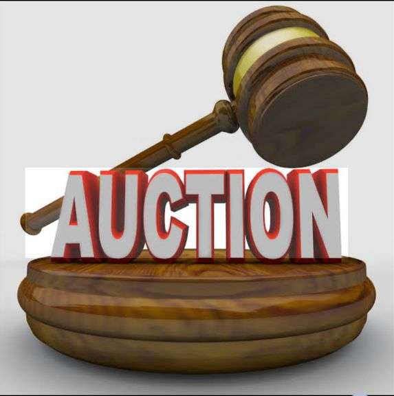 AUCTION TERMS!
