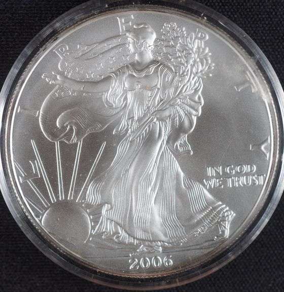 Lot of 2 2006 1oz Silver Eagles