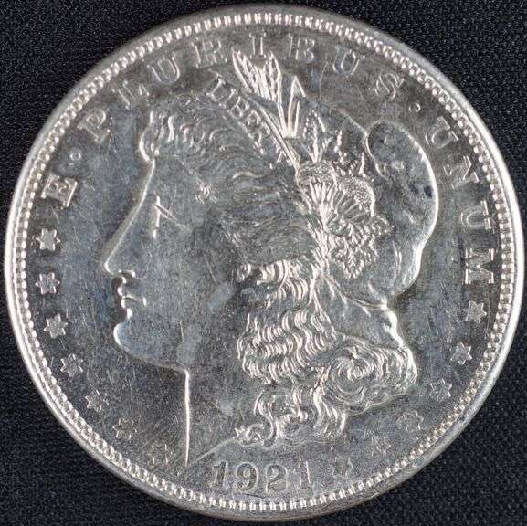 1921 “D” Morgan Dollar, High Detail