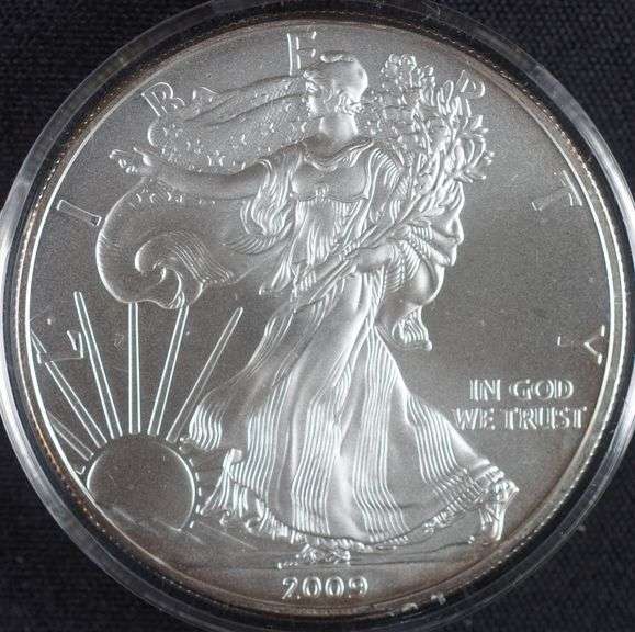 Lot of 2 2009 1oz Silver Eagles