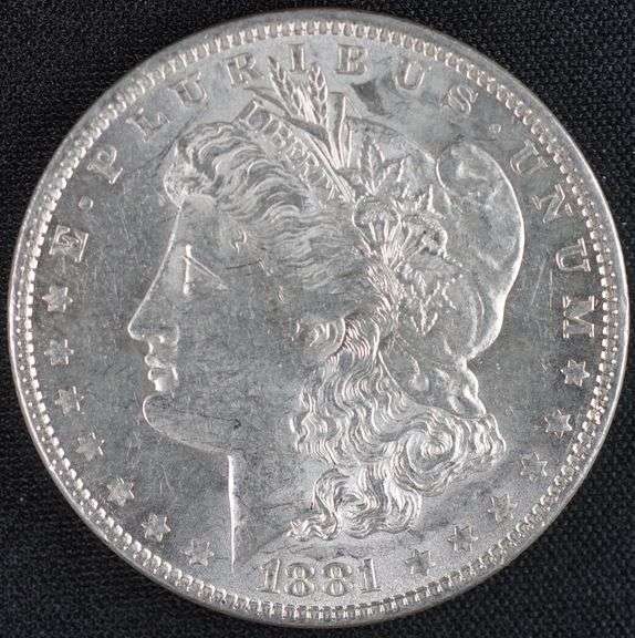 1881 “P” Morgan Dollar, High Detail