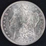 1880 Morgan Dollar “P”, High Detail