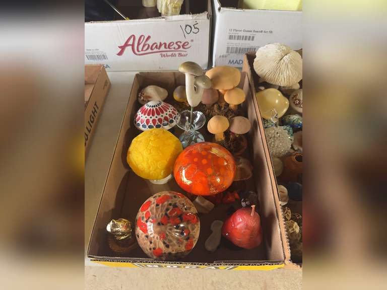 3 boxes of mushroom-related items