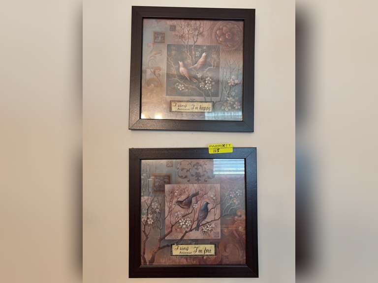 2 bird framed pictures