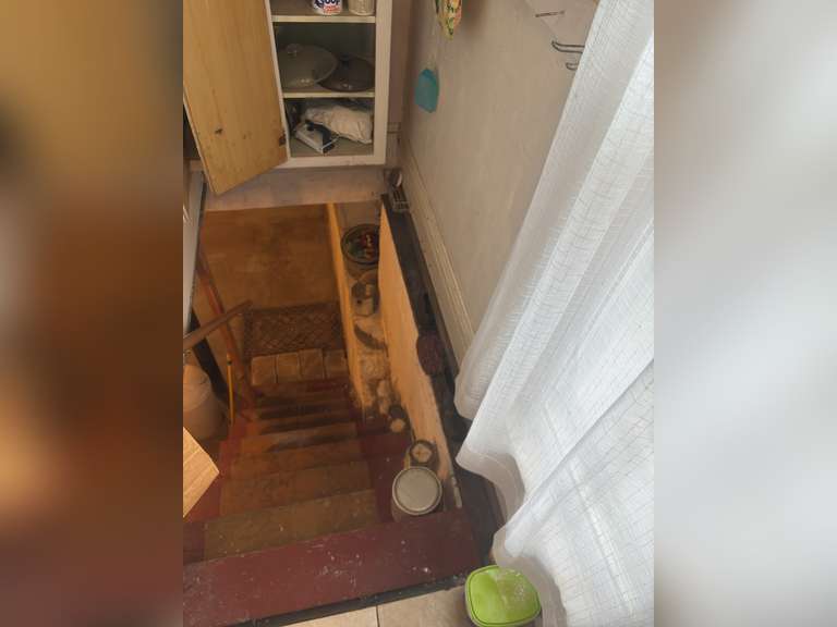 Contents of basement