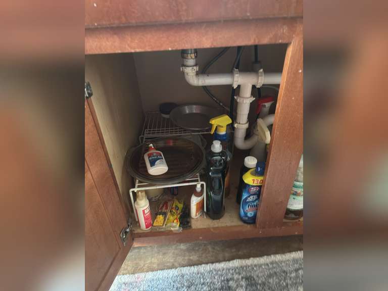 Contents under sink (cleaning supplies)