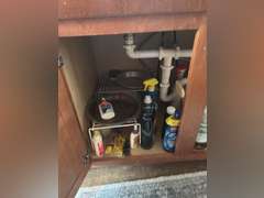 Contents under sink (cleaning supplies)