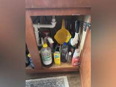 Contents under sink (cleaning supplies)