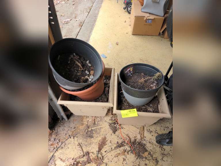 Planter boxes with 2 extra planters