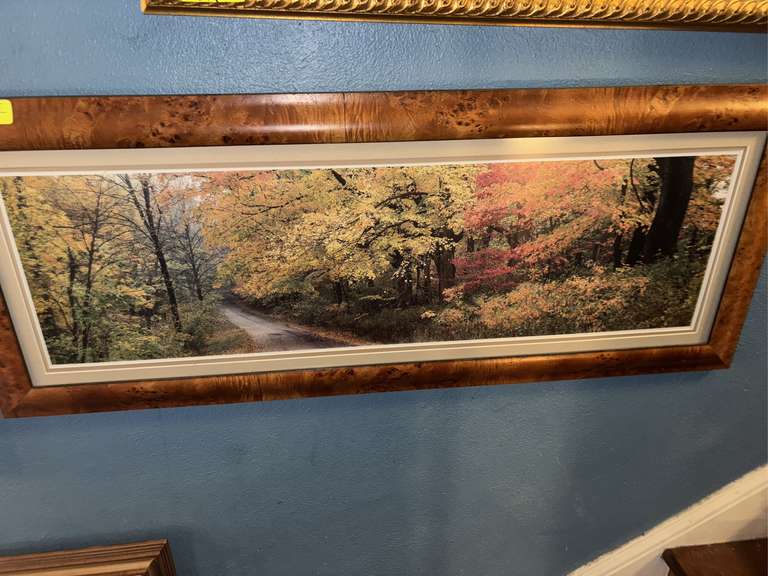 Birds Eye maple scene frame
