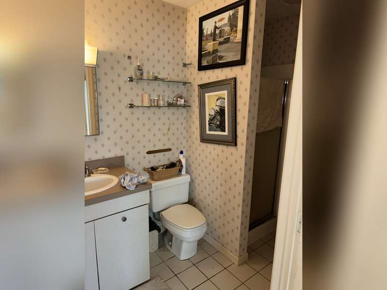 Contents of Bathroom