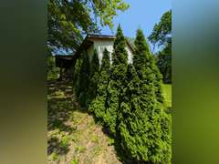 Home with Walk-Out Basement & Outbuildings on 5+/- Acres