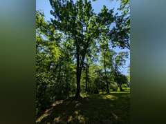 Home with Walk-Out Basement & Outbuildings on 5+/- Acres