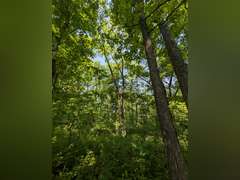 Home with Walk-Out Basement & Outbuildings on 5+/- Acres