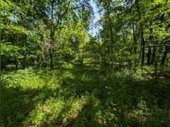 Home with Walk-Out Basement & Outbuildings on 5+/- Acres