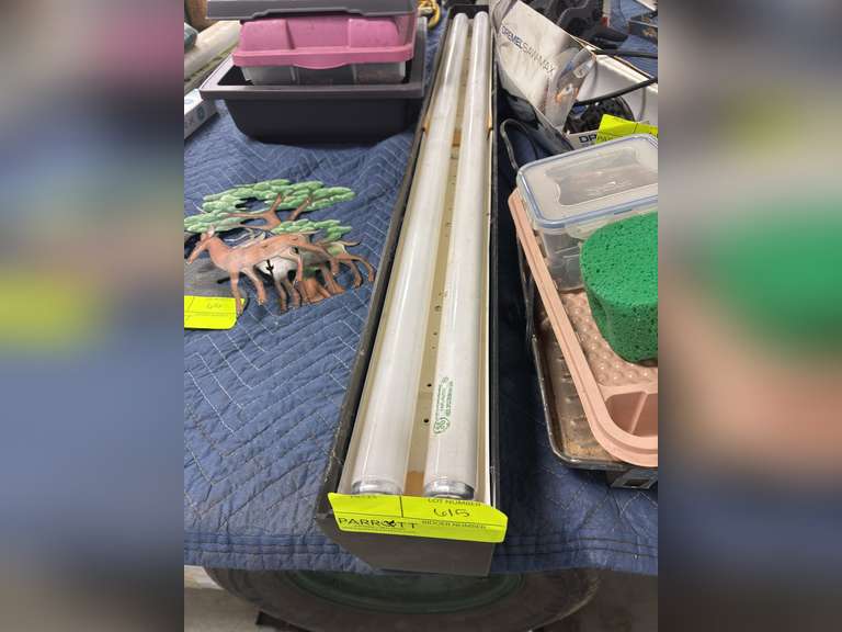 Fluorescent bulb light