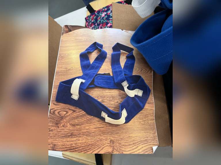 Suspension vest with other harnesses and restraints