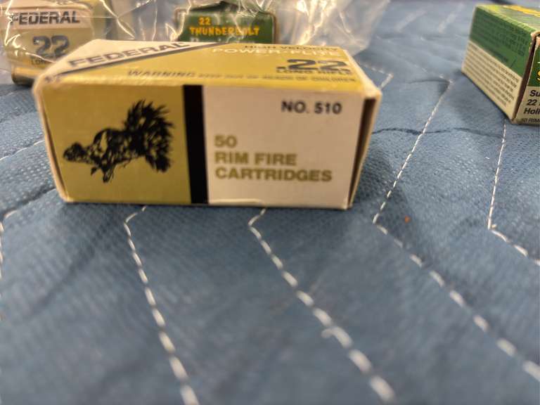 (200) Rounds of Various 22 LR Ammo